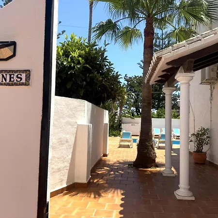 Paradise - Leones